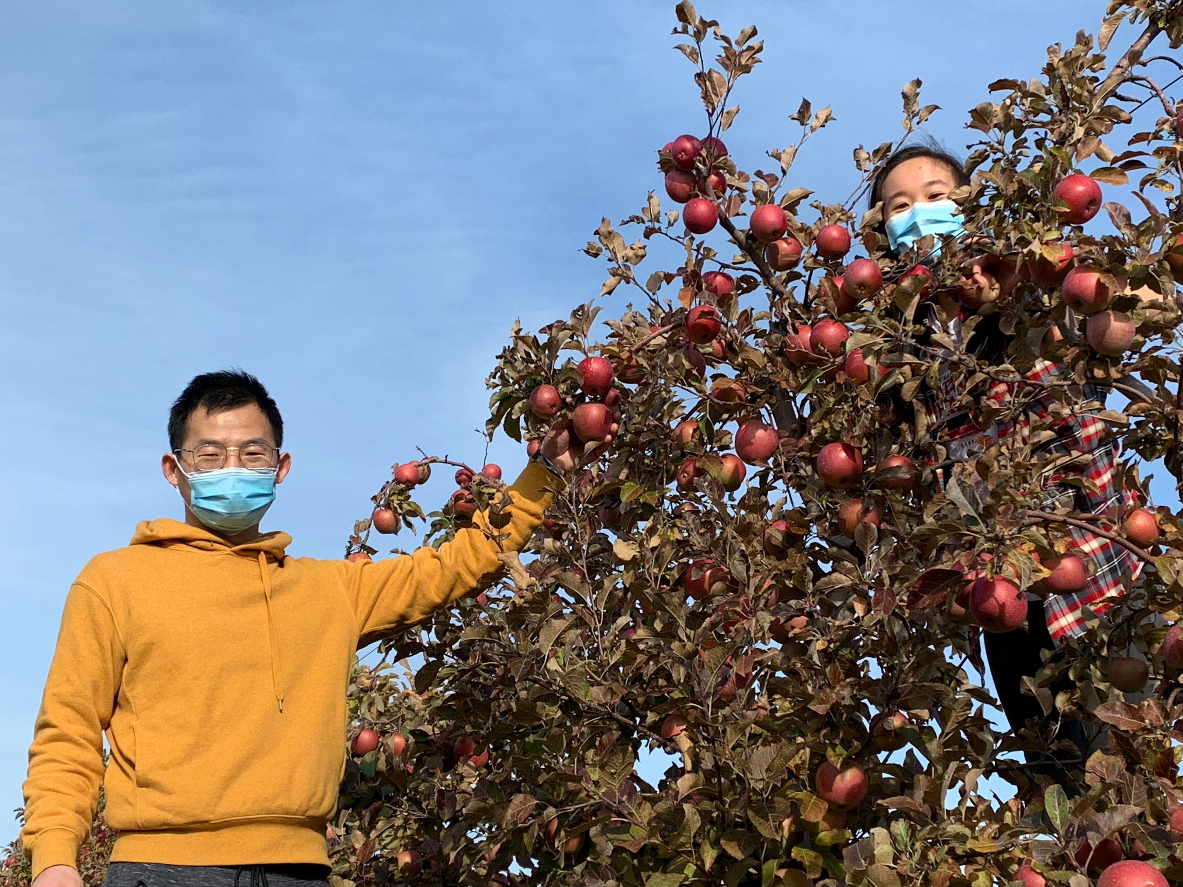 2020_apple_picking_10.jpg