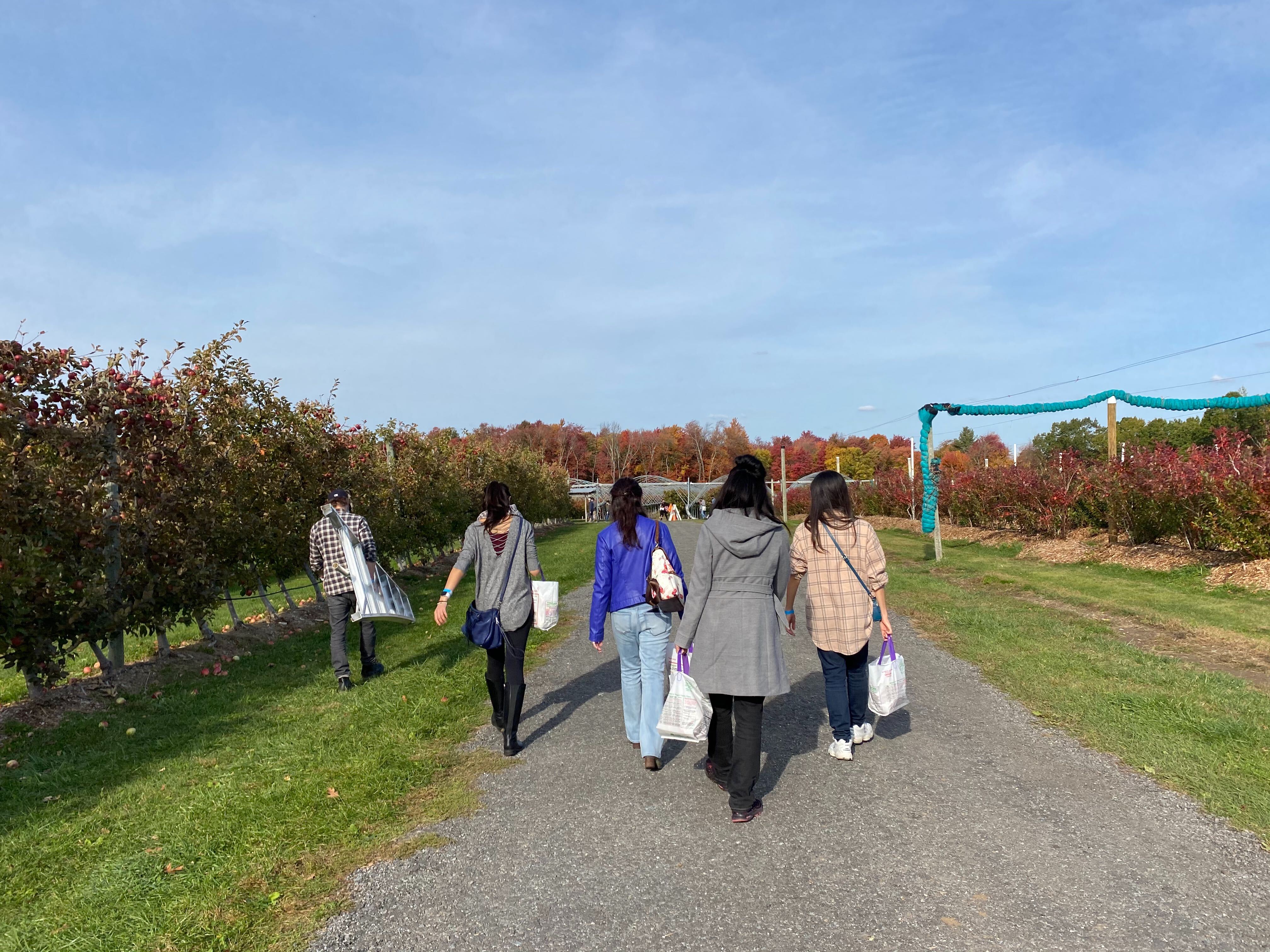 2020_apple_picking_14.jpg