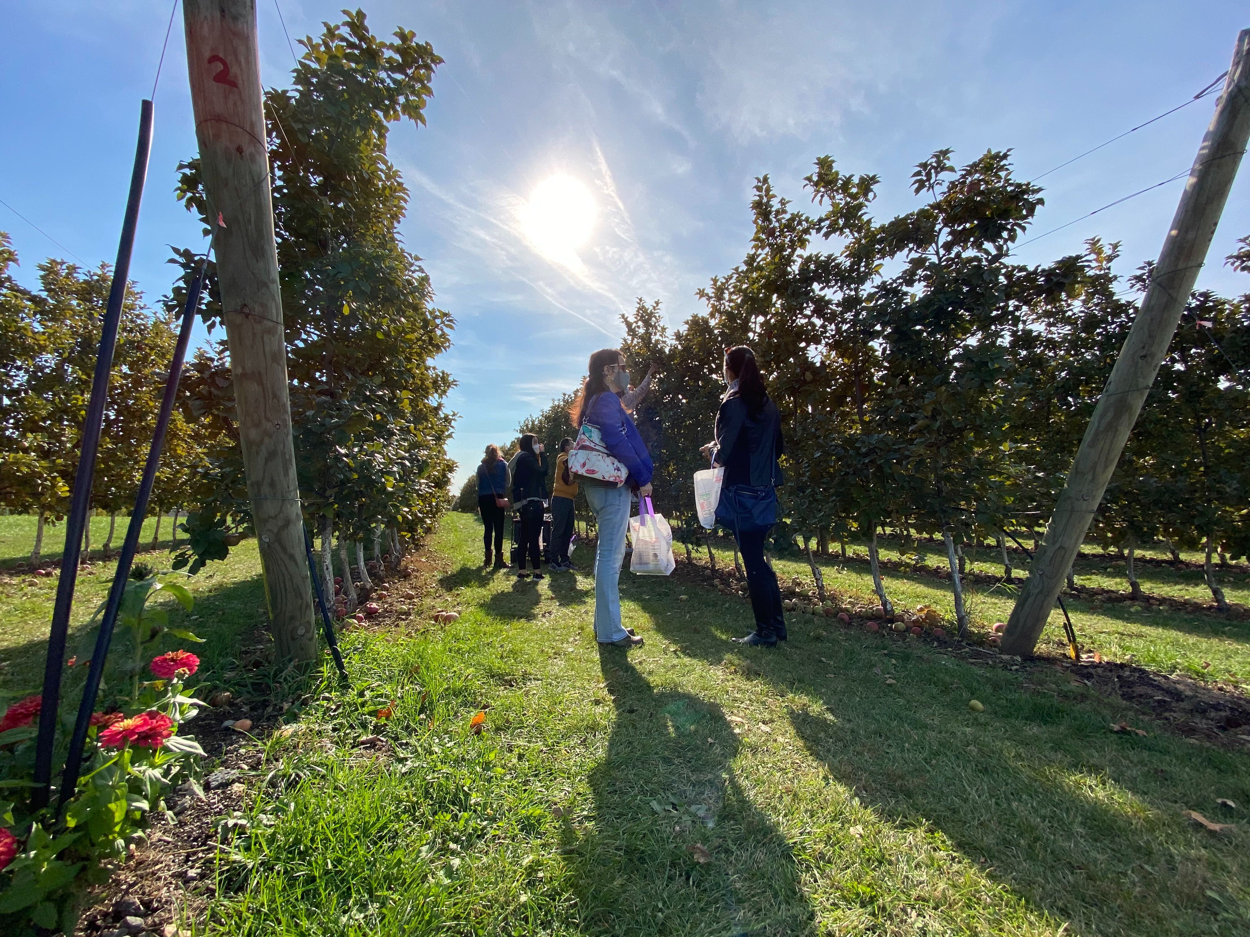 2020_apple_picking_7.jpg