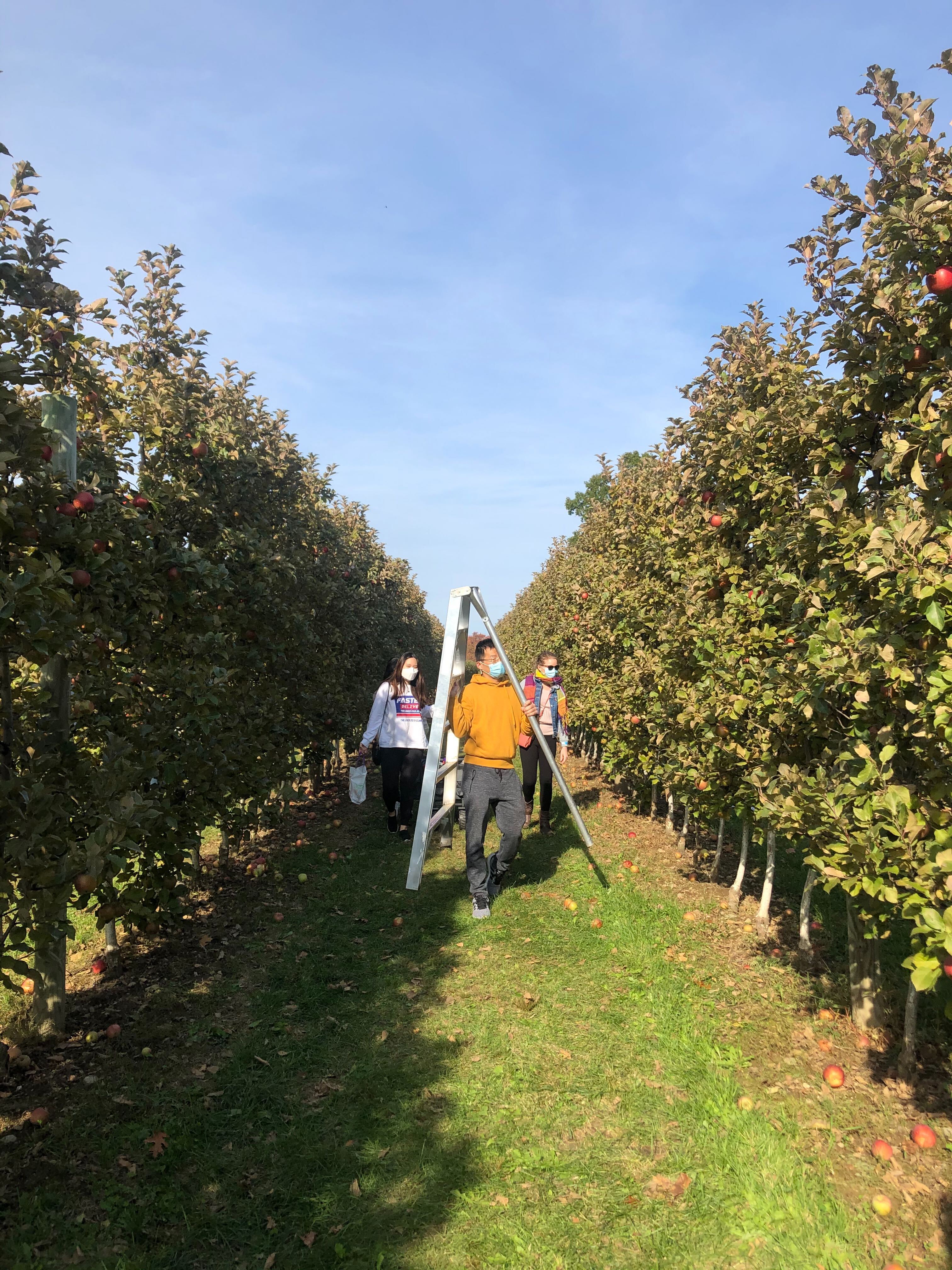 2020_apple_picking_8.jpg