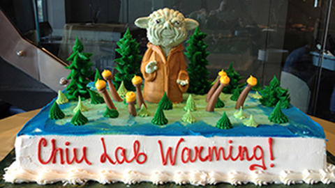 201-_lab_warming_yoda