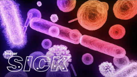 youtube_seeker_flesh_eating_bacteria