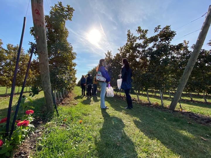 2020_apple_picking_7.jpg